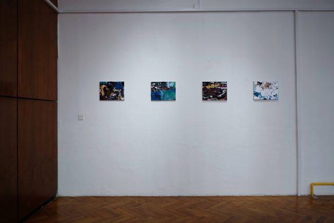 Michal Neugarten Exhibition Beyond Beauty 2023 Galerie Škroupovka