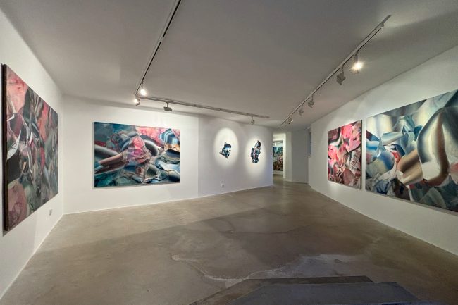 Michal Neugarten Exhibition Spaces 2024 Pecka gallery